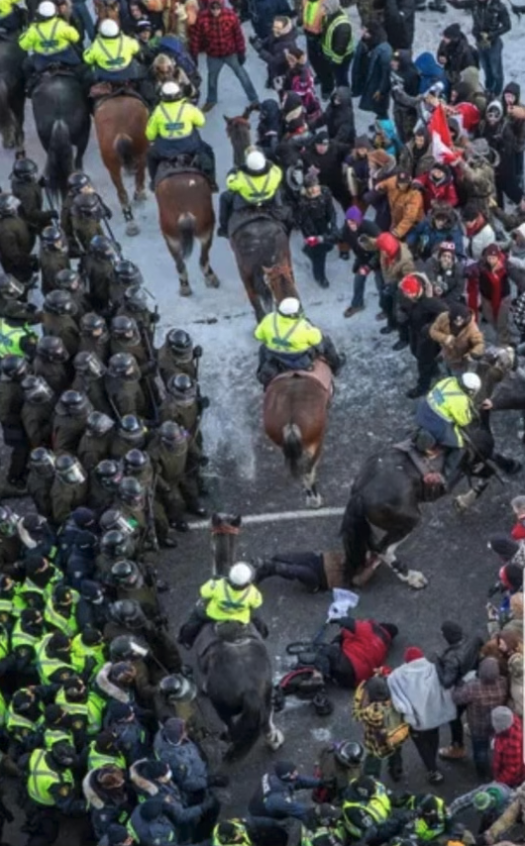 rcmp trample elderly woman with walker